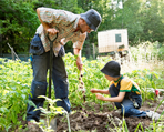 Gardening